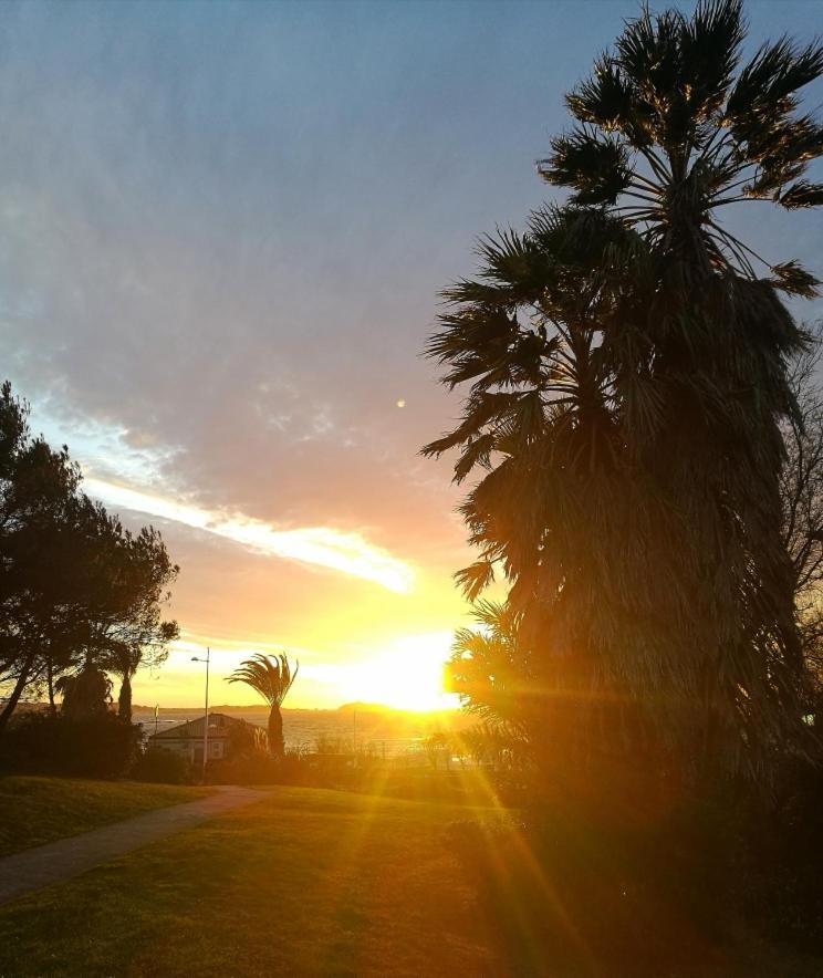 Superbe Appartement A 2 Pas De La Plage Six-Fours-les-Plages Eksteriør bilde